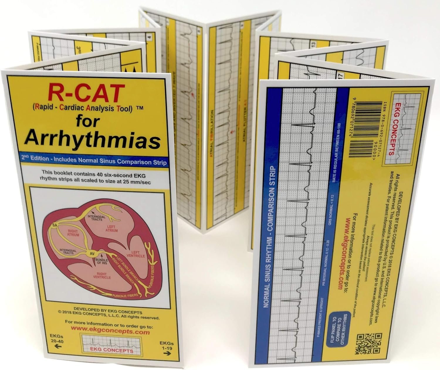 R-CAT for Arrhythmias EKG Pocket Reference Guide – Contains Literally Every EKG Rhythm Known - Great Study Booklet for EKG Interpretation - Cardiac Rhythm Interpretation Made Easy